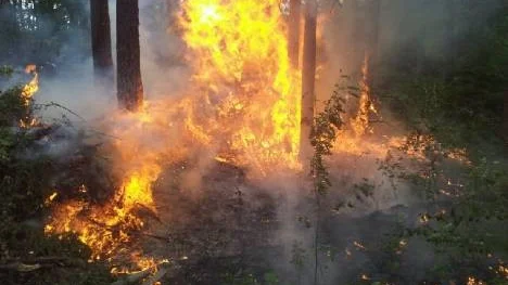 Brand i Gottsunda.