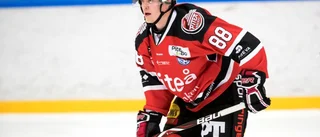 Skellefteå AIK storstädar – länsbekanting lämnar
