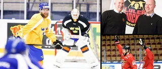 Linus Omark om mötet med Luleå Hockey: "Finns tre alternativ"