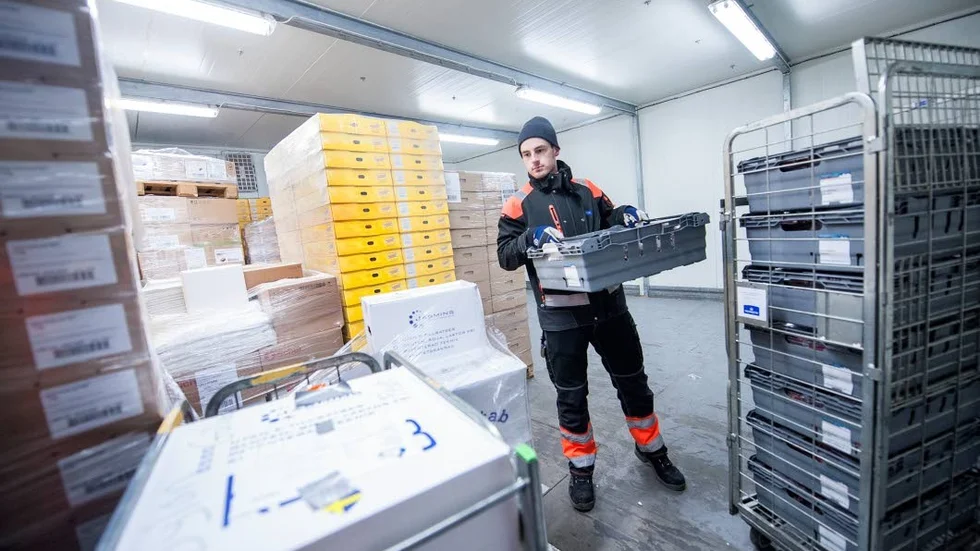 Jakob Ek vid Luleå mejeri rangerar frysta varor som levereras till kunder i Norrbotten tillsammans med andra kylda livsmedel.
