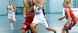 Salléns sköna kval