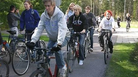 Gimoelever på väg.