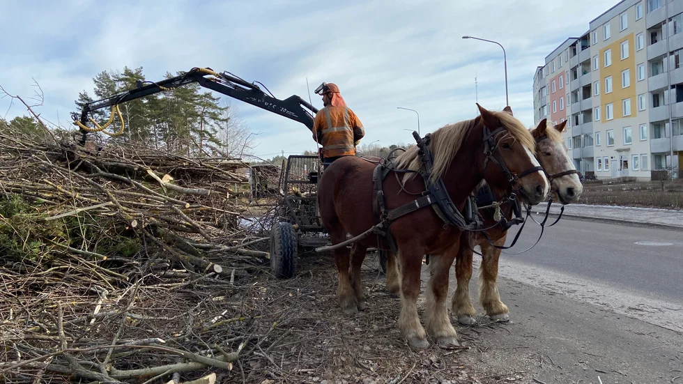 Kommunen har anlitat Hästens storskogsentreprenad för att röja upp på den plats som ska bli en parkeringsplats i Brandkärr. 