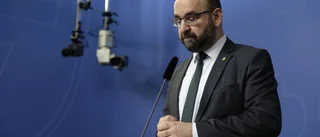Vad står Miljöpartiet för?