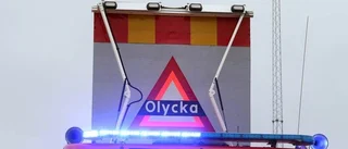 Bil och älg i krock