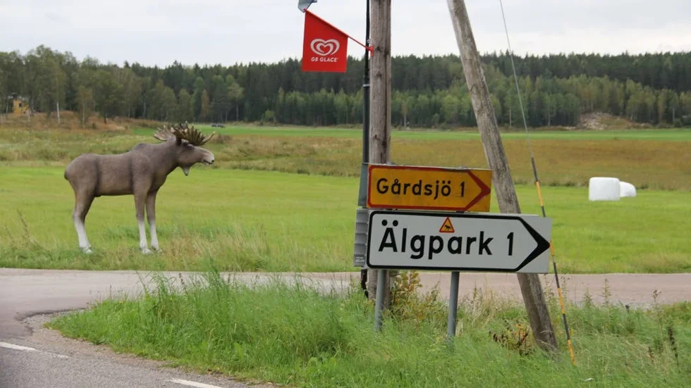 Gårdsjö älgpark norr om Morgongåva.