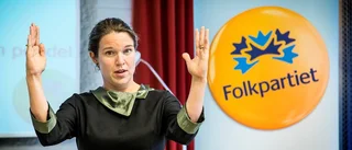 Från regionen till riksdagen