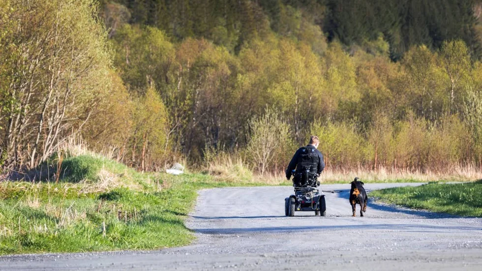 Genom bidrag från Skogssällskapet kan Upplandsstiftelsen arbeta för att funktionshindrade får möjlighet till vardagsupplevelser i naturen.