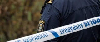 Högtalarstöld ur två bilar