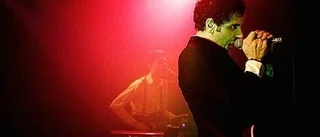 The Search släpper två album
