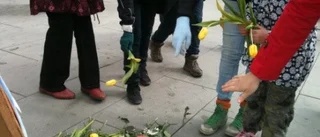 Blommor som stöd för utförsäkrade