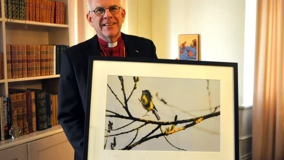  
Det spritter i benen på blåmesen på tavlan som Martin Modéus auktionerar ut tillsammans med sin foto- och reflektionsbok "Bildrikt talat". 
