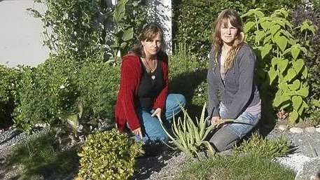 Malin Aarnios, Louise Gustafssons och deras klasskamraters idéträdgård har utsatts för stölder och vandalism.