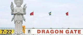 Fler utländska investeringar
