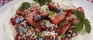 Marängtårta med limejordgubbar och vit choklad