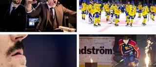 Veckans femma i SHL: Han har bästa mustaschen i LHC