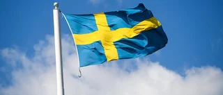 Insändare: Frid över Sveriges minne