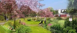 Park rustas i Vilbergen