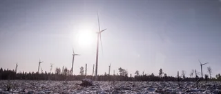 Dystert energibokslut för Löfven