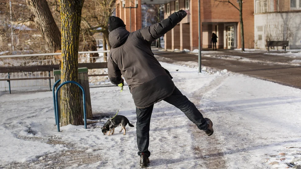 Många av offren för halkolyckorna har varit ute och gått med sina husdjur när olyckan har varit framme.