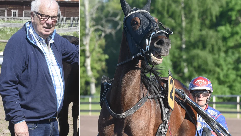 Robert Stejdahl från Mariannelund är uppfödare till Pinto Bob som vann lopp i Frankrike nyligen.