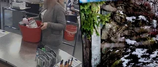 Bevisen som fällde kvinnan: ✓Mänskligt fett ✓Offret drogat ✓Köpte ved och bensin