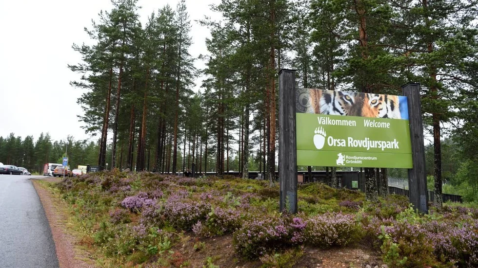 Orsa Rovdjurspark. Här skedde den dödliga björnattacken, fem år efter vargattacken på Kolmården.