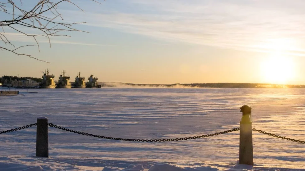 Solen. Dagesn debattörer slår ett slag för solfaktorn i våra liv i allmänhet och på julbordet i synnerhet.