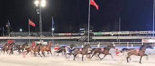 V75 på Umåker: Så gick det för Skelleftehästarna