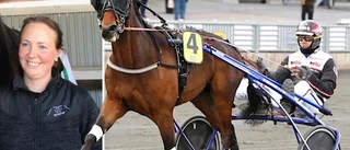 Inför V75: Skelleftestjärnan är titelförsvarare i klassiskt gulddivisionslopp