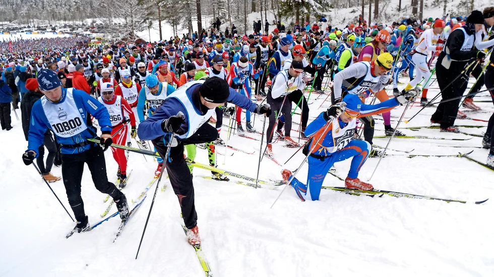 Foto: ULF PALM / TT.