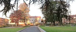 Varför låta ett högt hus ta bort ljus från stadsparken?