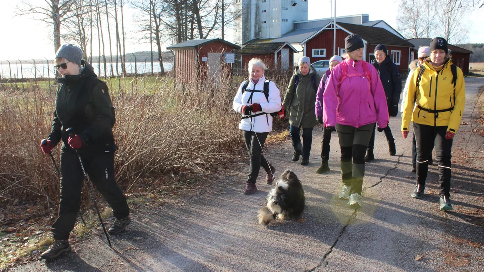 Vandringarna utgår från klubbstugan, som ligger i hamnområdet i Helgenäs.