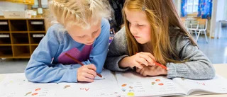Debatt: Fungerande skola ger ett bra samhällsklimat