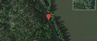 Fallna träd skapar problem i trafiken på väg 55