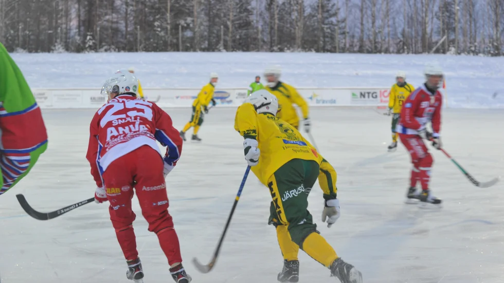 Kalix Bandy kan spela matcher igen till helgen.