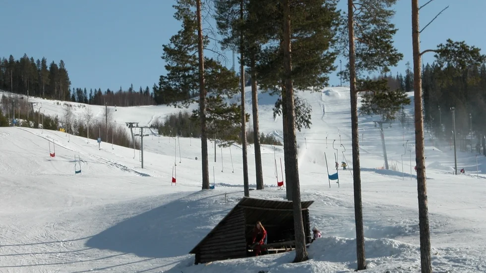 Snö i Tjamstanbacken. Foto: Britta Stenberg
