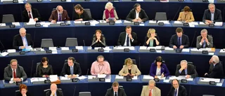 Europaparlamentet är en kompromissmaskin