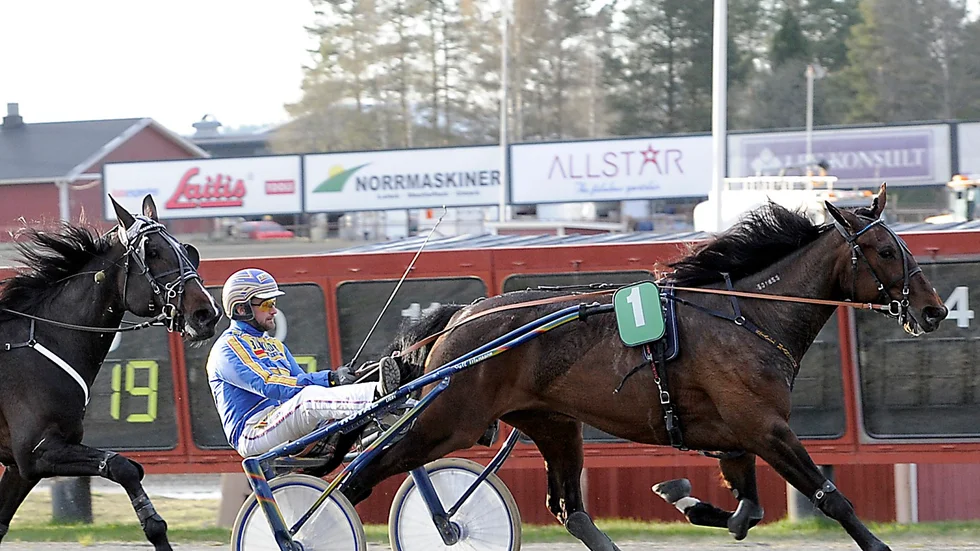 Säkert spetstriumf. Christian Månsson och New York Broline tog en säker spetsseger i V5-1 på Skelleftetravet under tisdagskvällen.