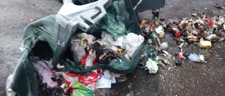 Brinner i ett miljörum på Myntgatan