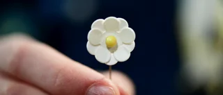 Stekt ägg inspirerade årets majblomma