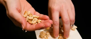 Studie: Jordnötter till barn kan hindra allergi