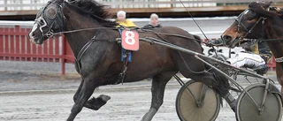 Sandra skrällde i premiären