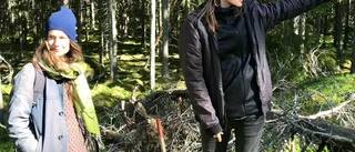 De har skapat ett 3,7 hektar stort offentligt konstverk i Julita: "Vårt mål är att den ska få leva sitt eget liv"