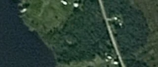 Nya ägarna ärver skogen på Serrejaur 8 i Arvidsjaur