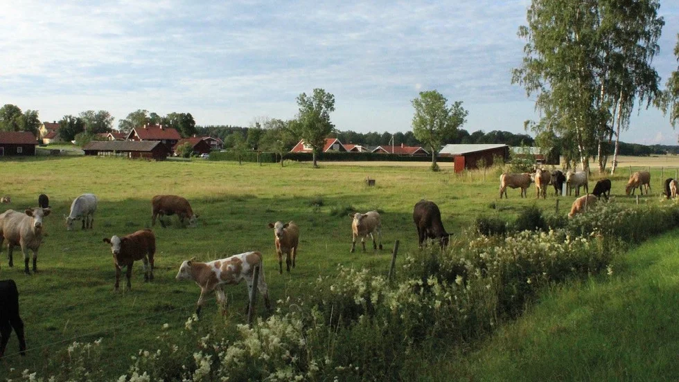 Utmärkelser för årets landsbygdsinsatser ska delas ut.