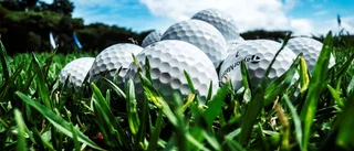2000 golfbollar stulna