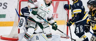 Ishockeyäventyret fortsätter i England för Kim Tallberg