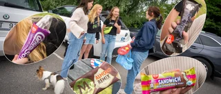 SN:s testpanel testar nya glassar – Izzy, 11: "Lakrits är det värsta som finns på denna jord"