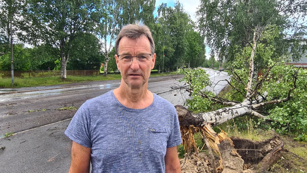 "Jag skickade in en anmälan om det för ett år sedan. Jag har ju sett att många träd här runt ser ut som dom kan falla närsomhelst", säger Mats Bäcklund, granne med platsen där trädet föll.